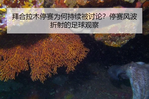 拜合拉木停赛为何持续被讨论？停赛风波折射的足球观察